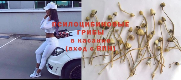 стаф Алексин