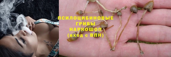 хмурый Алексеевка
